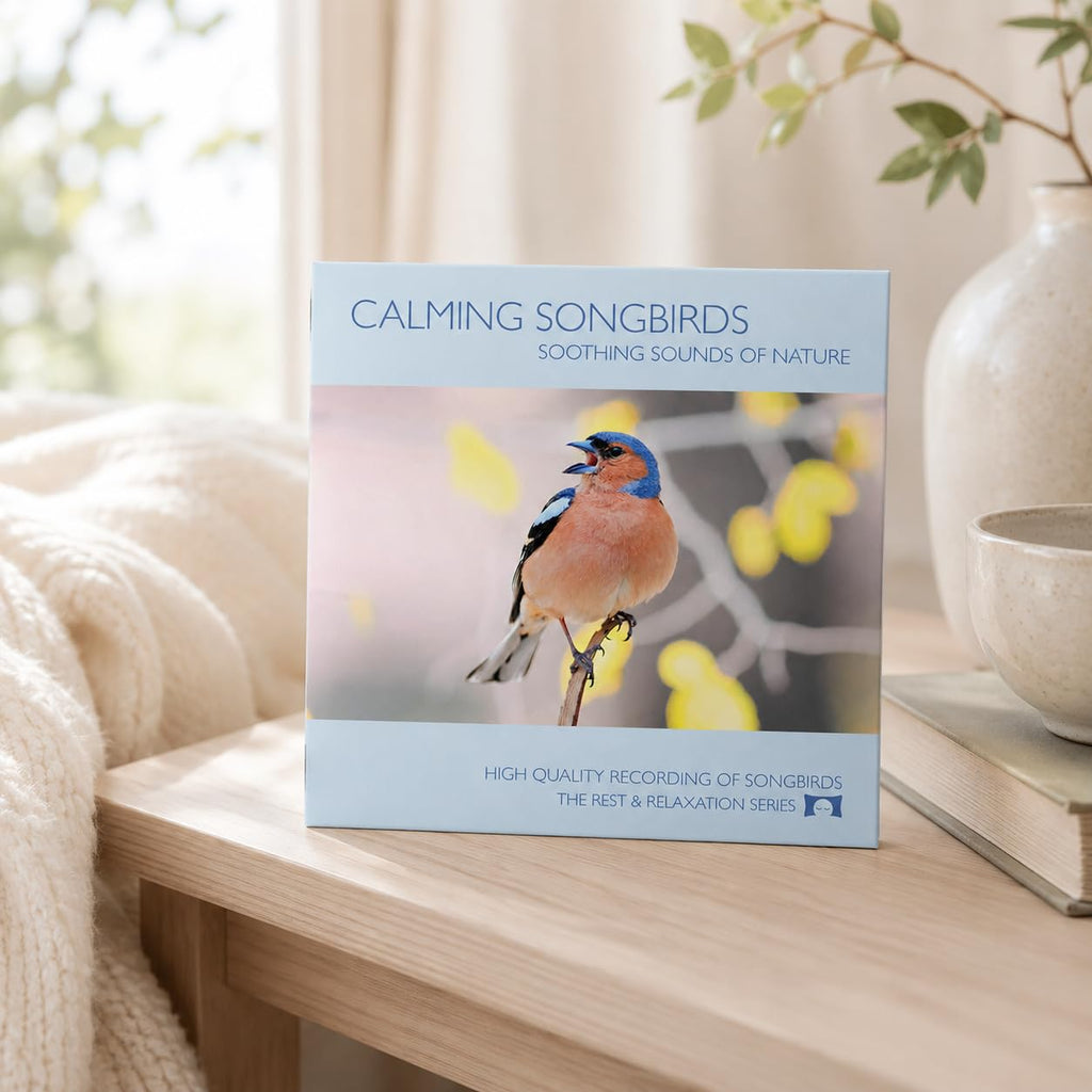 Calming Songbirds - Nature Sounds Recording of Bird Calls - For Meditation, Relaxation and Creating a Soothing Atmosphere - Nature's Perfect White Noise