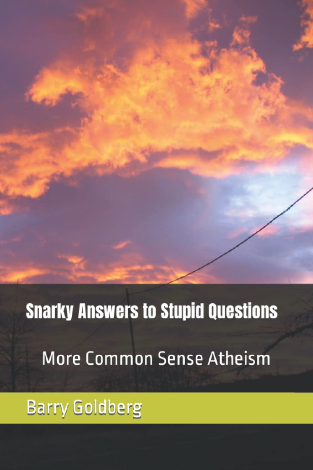 Snarky Answers to Stupid Questions: More Common Sense Atheism