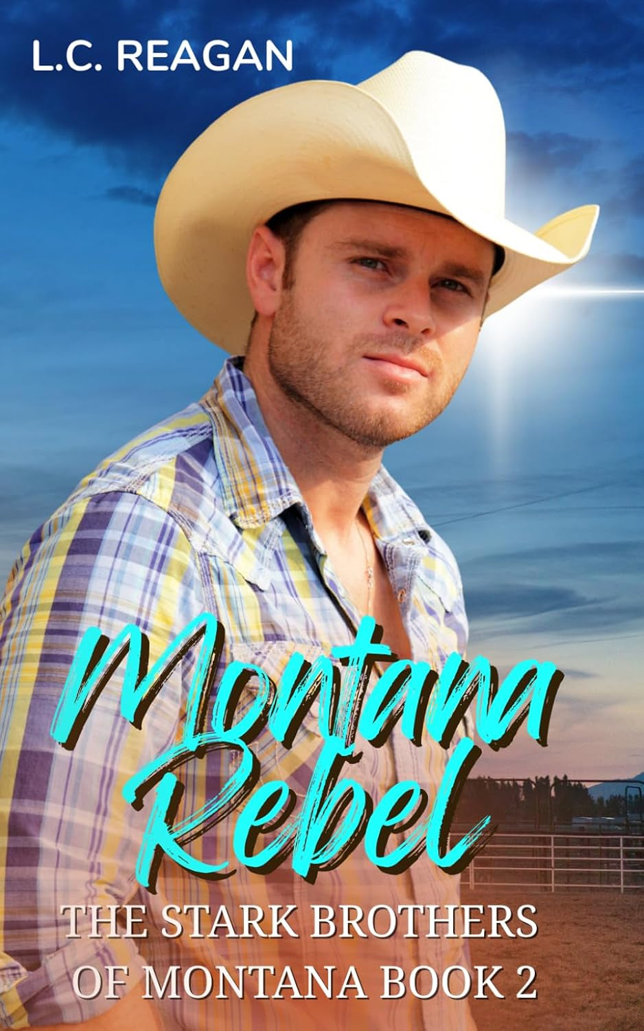 Montana Rebel: An Enemies-to-Lovers Cowboy Romance (Colton’s Story) (The Stark Brothers of Montana)