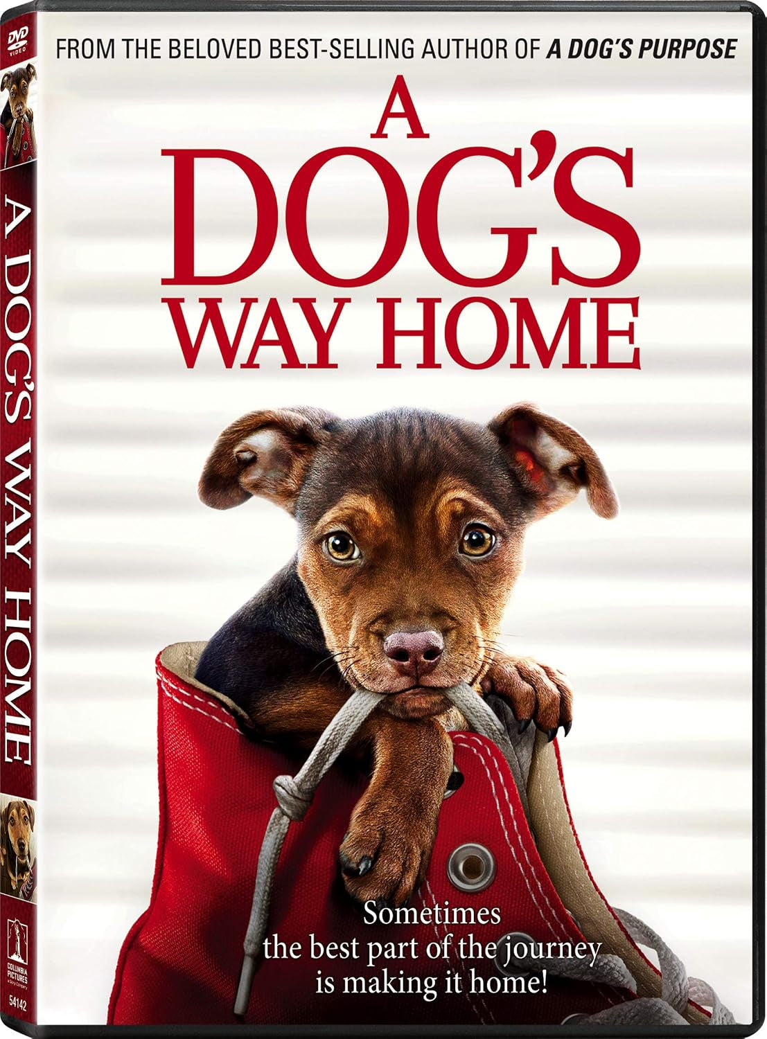A Dog's Way Home