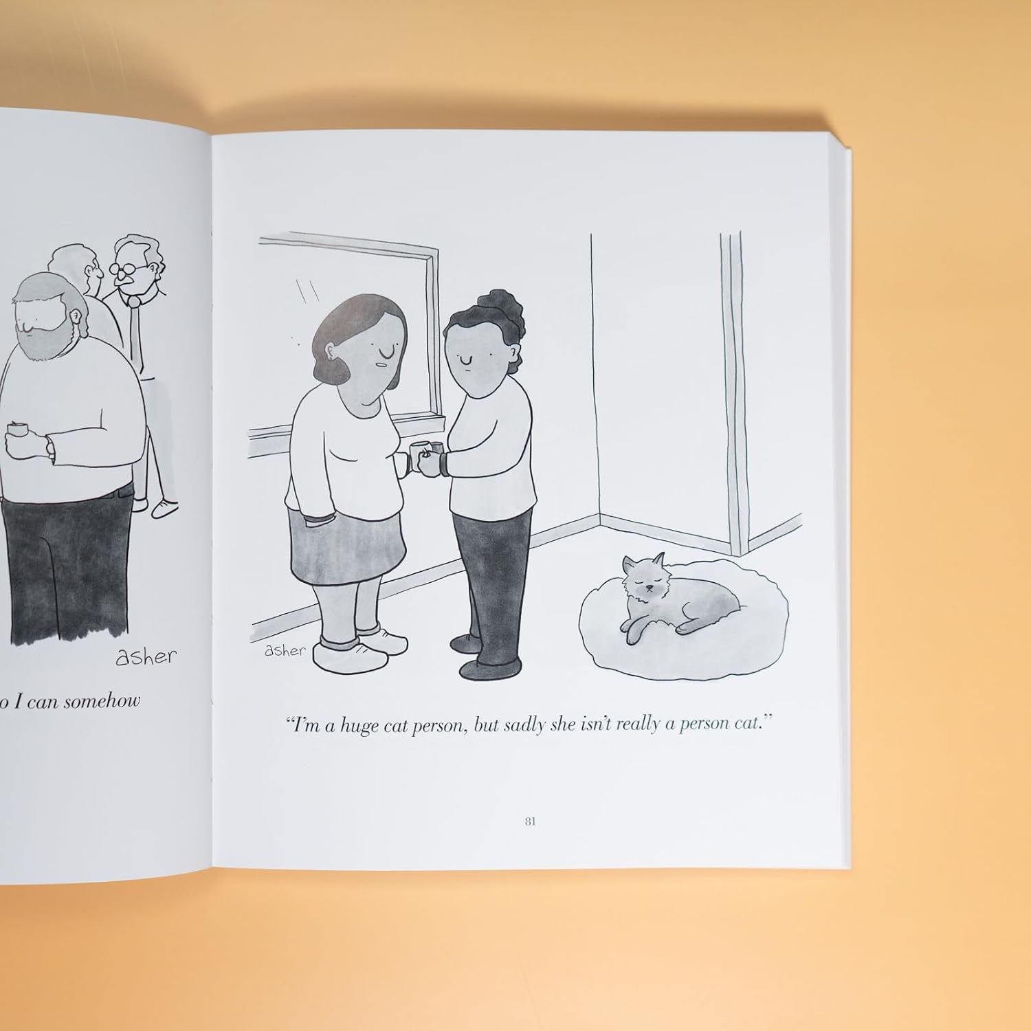 Hi, It's Me Again: A Cartoon Collection from the New Yorker's Asher Perlman