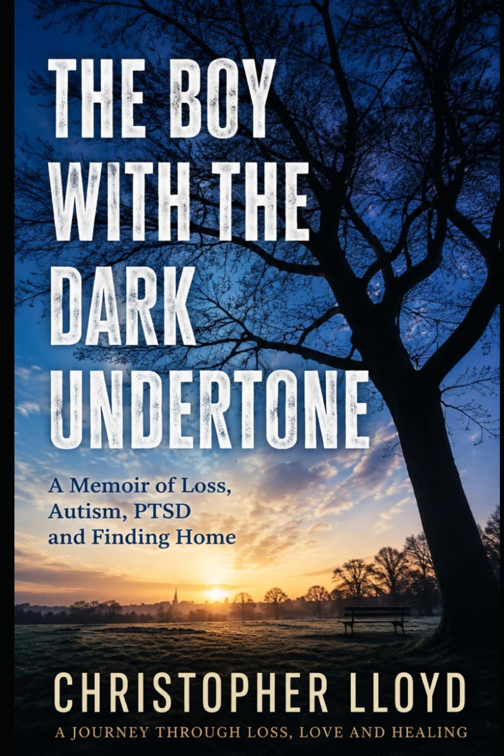 The Boy with the Dark Undertone: A Journey Through Loss, Autism, PTSD, Love and Healing