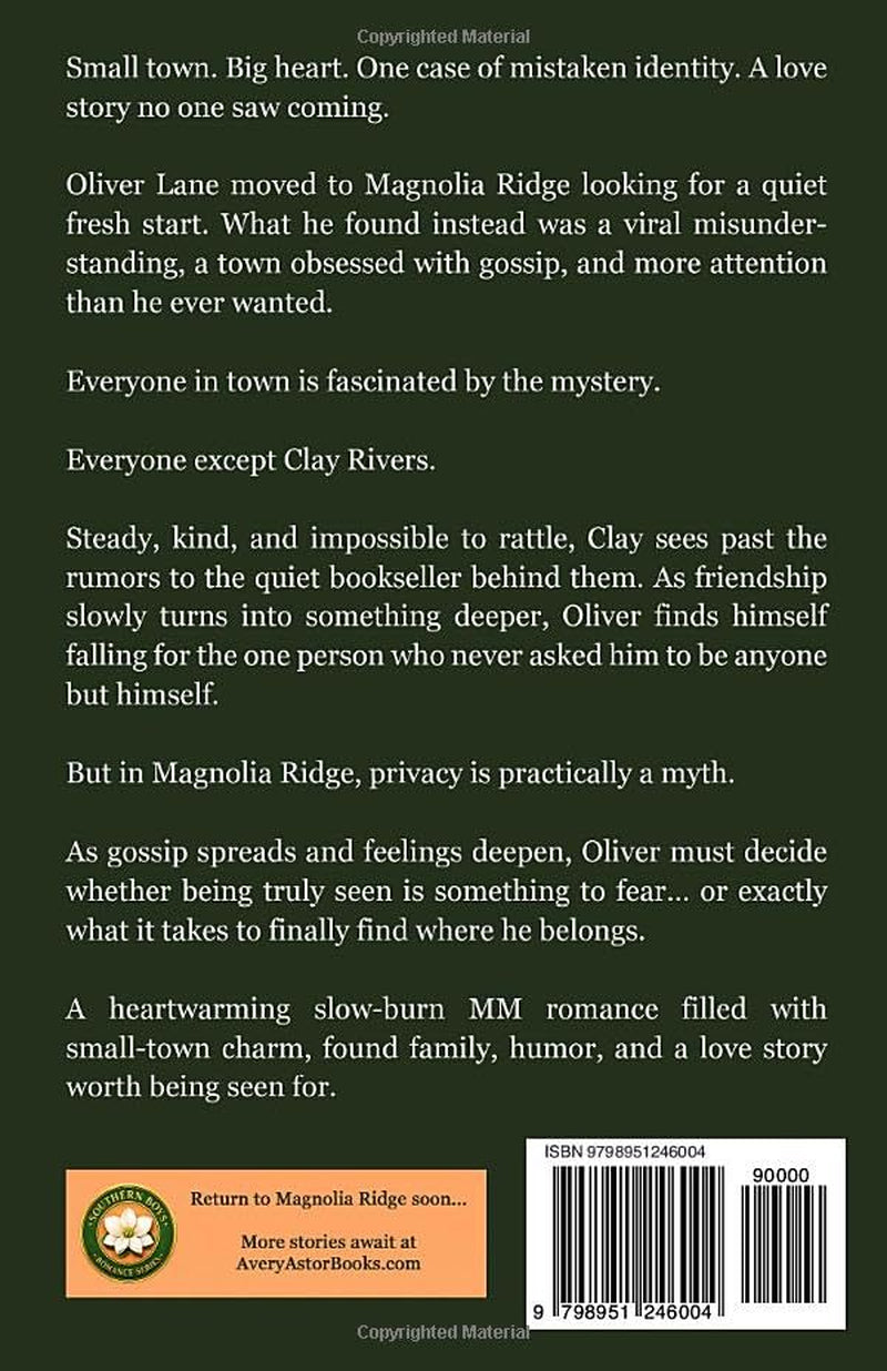 Mistake Me in Magnolia Ridge: Sometimes What People Believe About You Isn't the Whole Story (Southern Boys Series)
