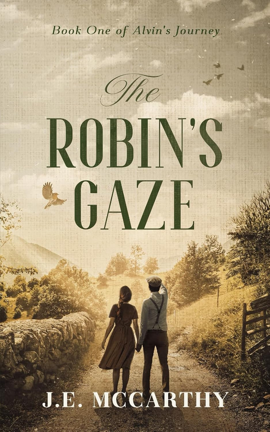 The Robin's Gaze: Book One of Alvin's Journey