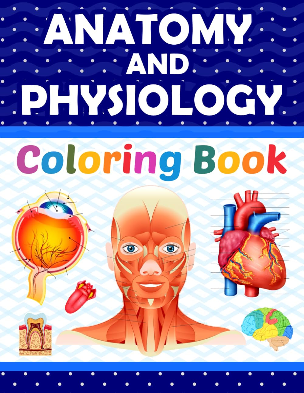 Anatomy and Physiology Coloring Book: Learn The Human Body Anatomy and Physiology in a Fun and Easy Way. It Helpful for Human Anatomy Students and Teachers.
