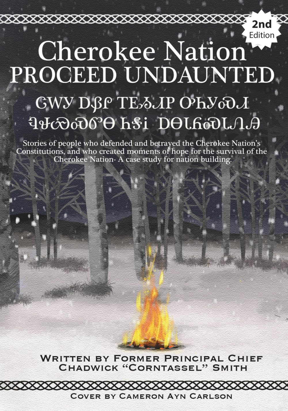 Cherokee Nation Proceed Undaunted:: Stories of People Who Defended and Betrayed the Cherokee Nation's Constitutions, and Who Created Moments of Hope ... Nation - a Case Study for Nation Building