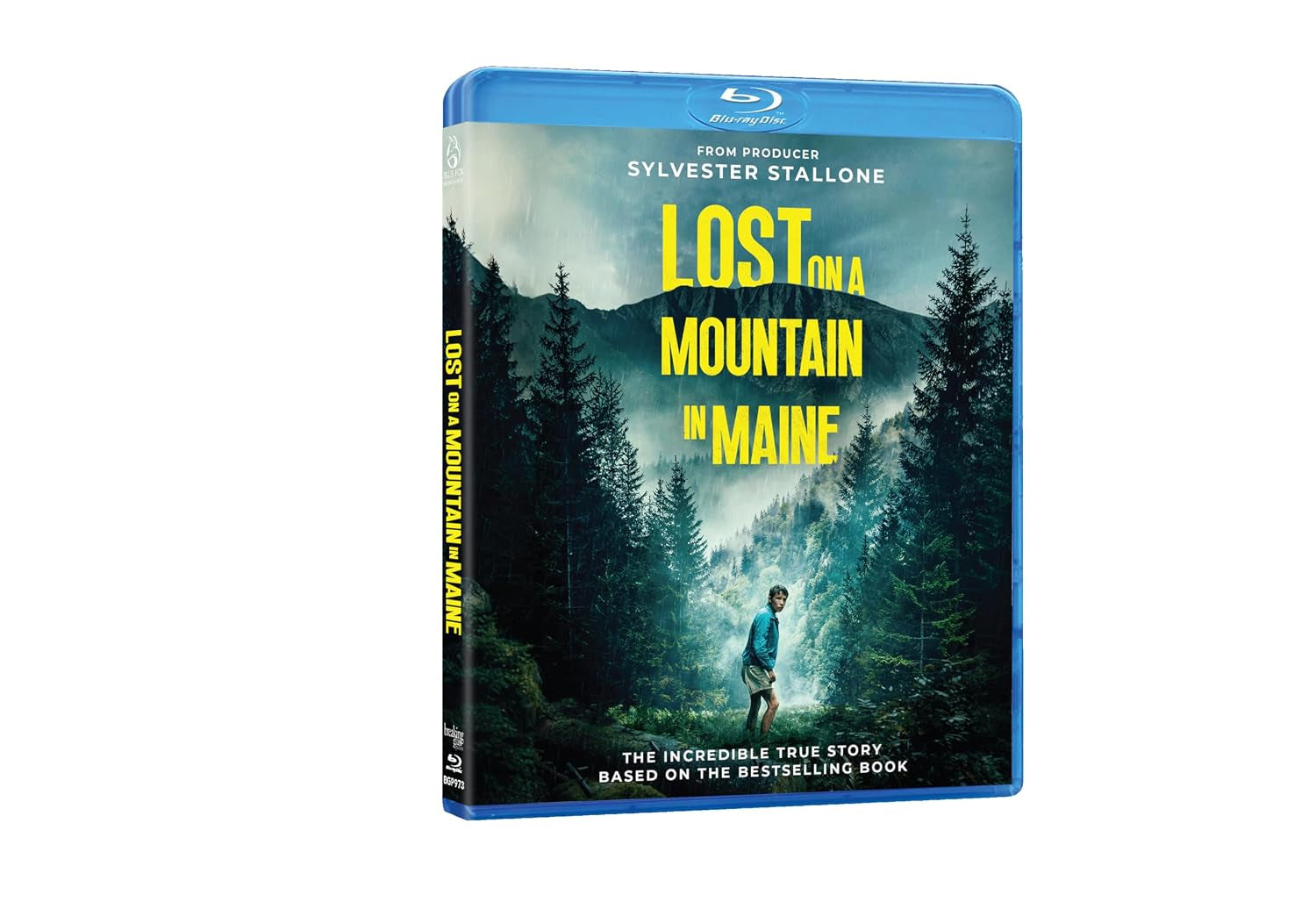 Lost on a Mountain in Maine