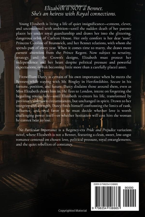 No Particular Importance: A Pride and Prejudice Variation (Darcy and Elizabeth Variations)