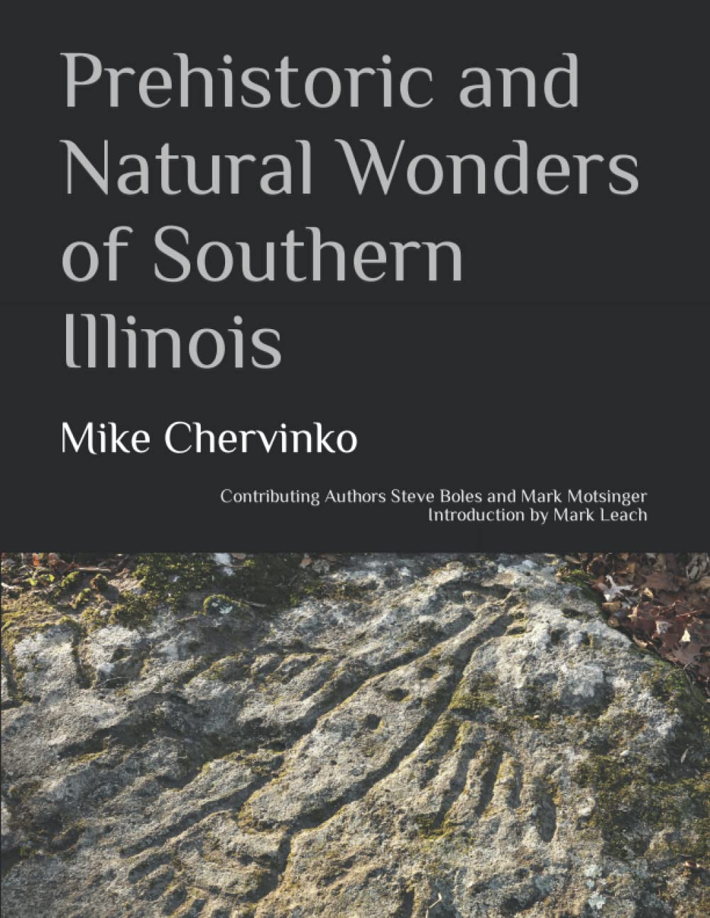 Prehistoric and Natural Wonders of Southern Illinois