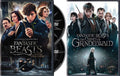 Harry's Wizarding Universe/ Johnny And Jude Get Involved: Fantastic Beasts - And Where To Find Them + The Crimes Of Grindelwald DVD Bundle Harry Potter