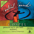 Psalm 23 I Am Not Alone Accompaniment/Performance Track