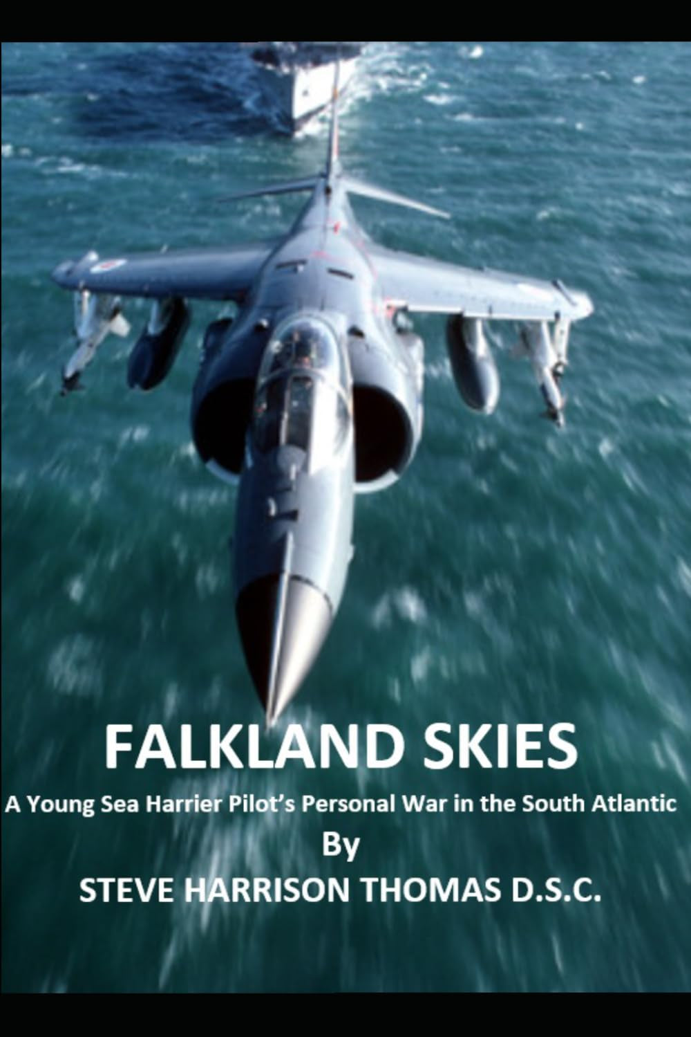 Falkland Skies: A Young Sea Harrier Pilot’s Personal War in the South Atlantic (Dangerous Skies)