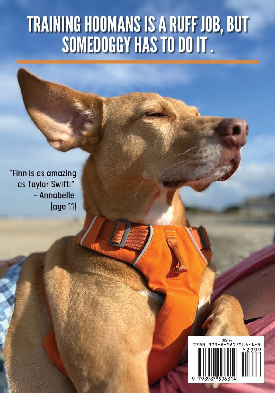 The Finn Chronicles: Year Six: A dog's reports from the front lines of hooman rescue
