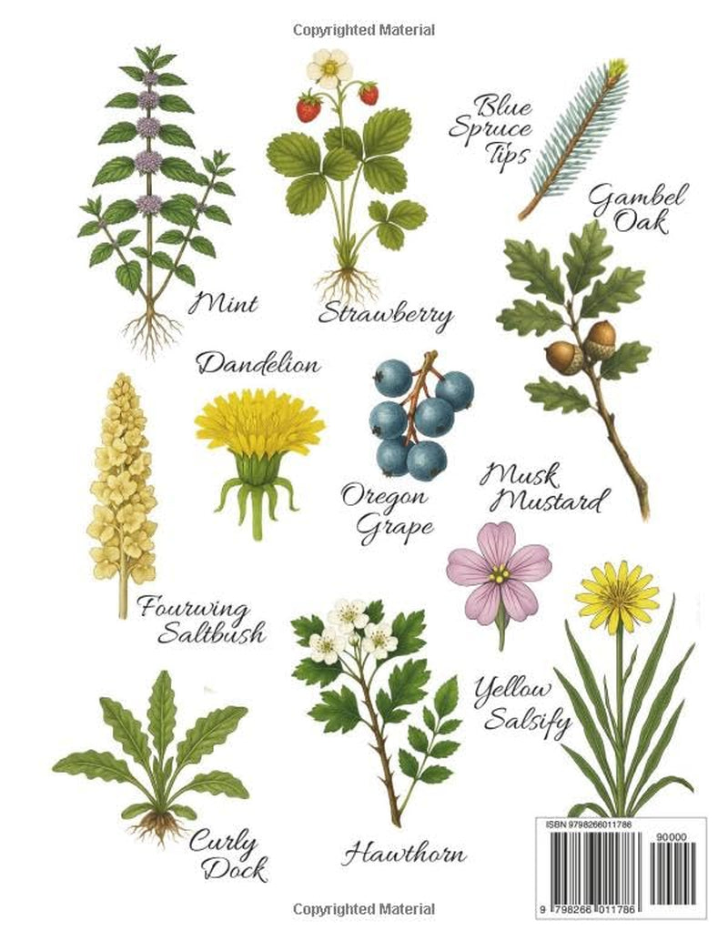 Where the Wild Plants Grow: Colorado and the Rocky Mountain Front Range: A Forager’s Guide to Wild Food, Medicinal Herbs, and Natural Remedies