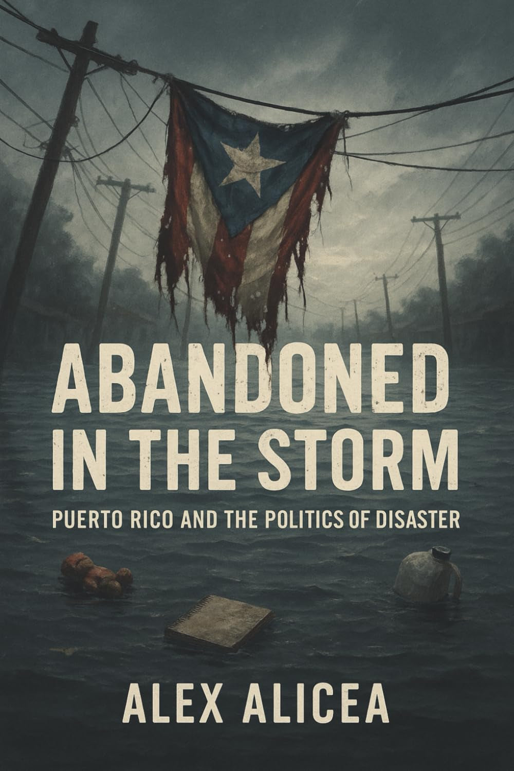 Abandoned in the Storm: Puerto Rico and the Politics of Disaster (History Of Puerto Rico)