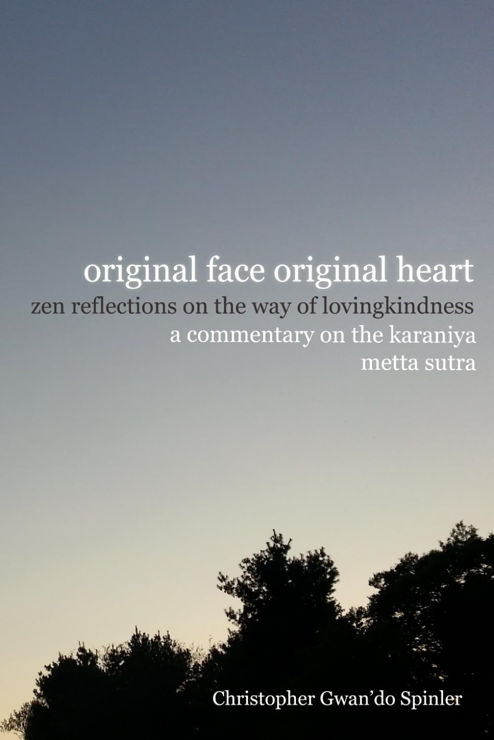 Original Face, Original Heart: Zen Reflections on the Way of Lovingkindness