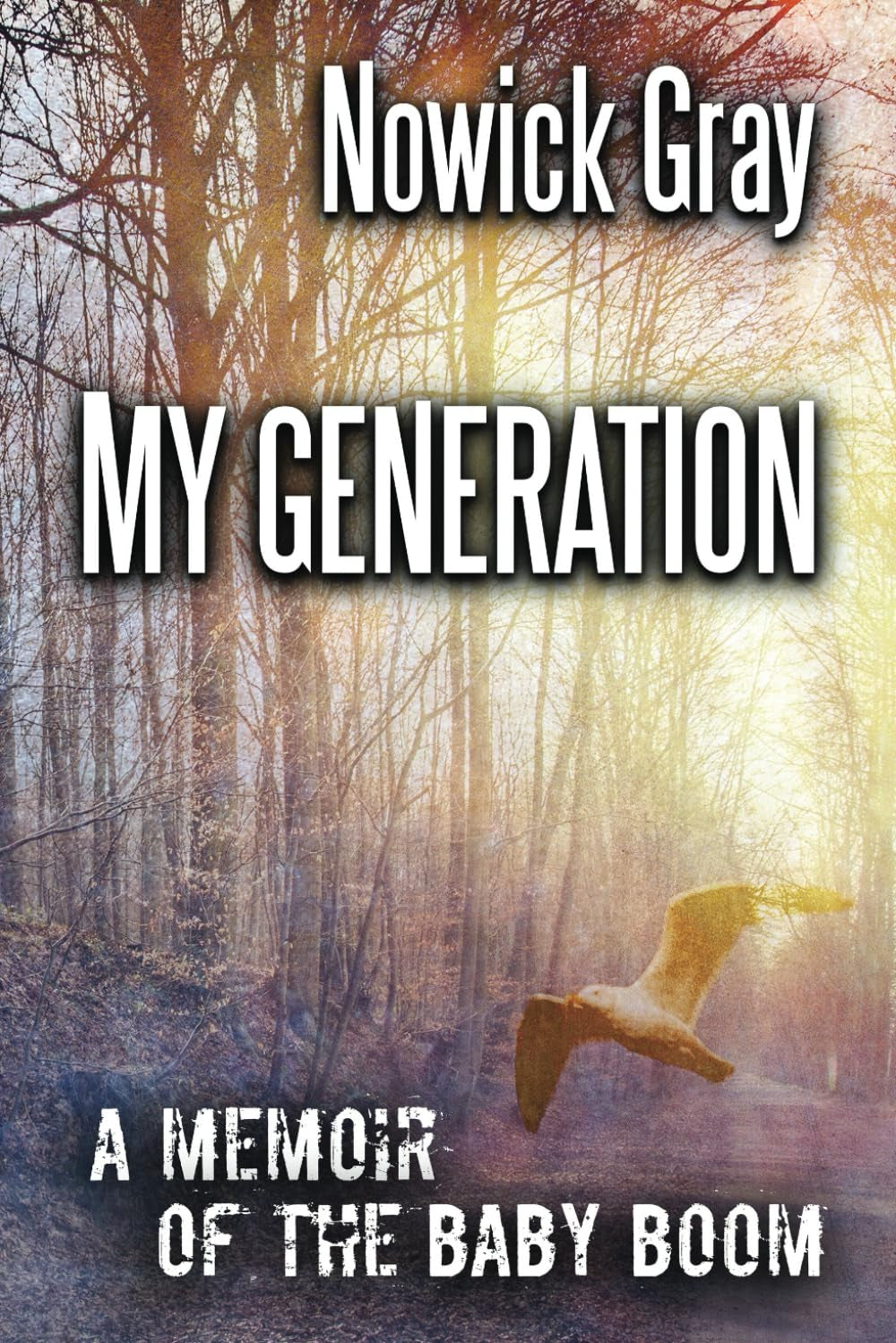 My Generation: A Memoir of the Baby Boom (My Country)