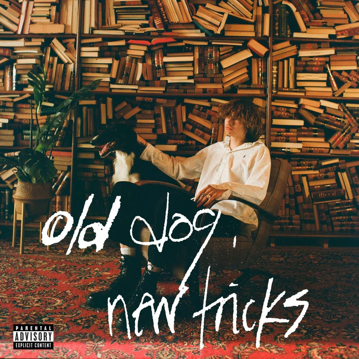 old dog, new tricks [LP] Explicit Lyrics