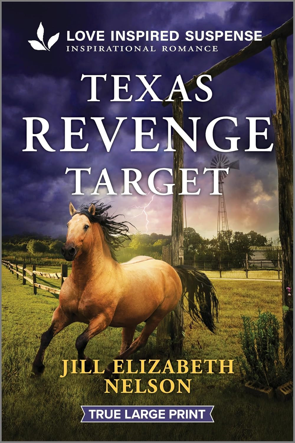 Texas Revenge Target (Love Inspired Suspense)