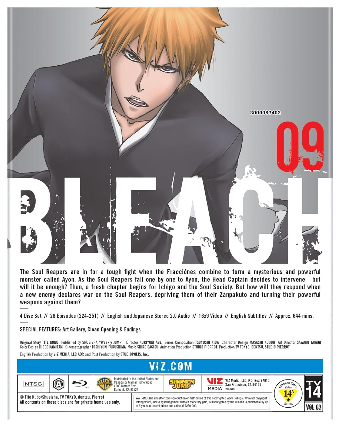 Bleach (TV) Set 9 (BD) [Blu-ray]