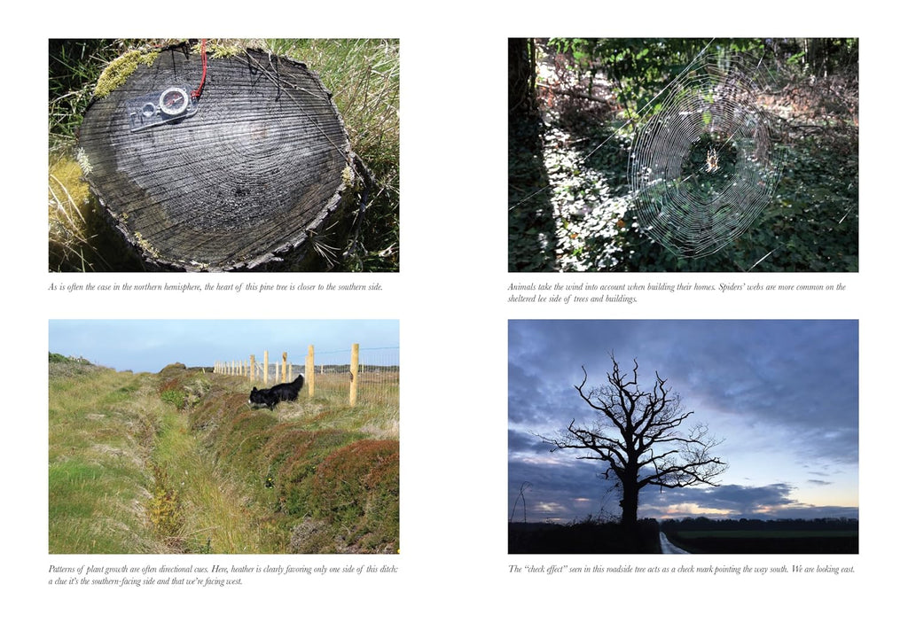 The Natural Navigator: The Rediscovered Art of Letting Nature Be Your Guide