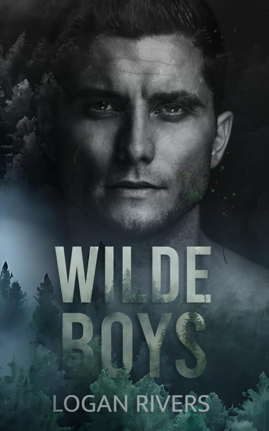Wilde Boys: A Cult Boys Novel