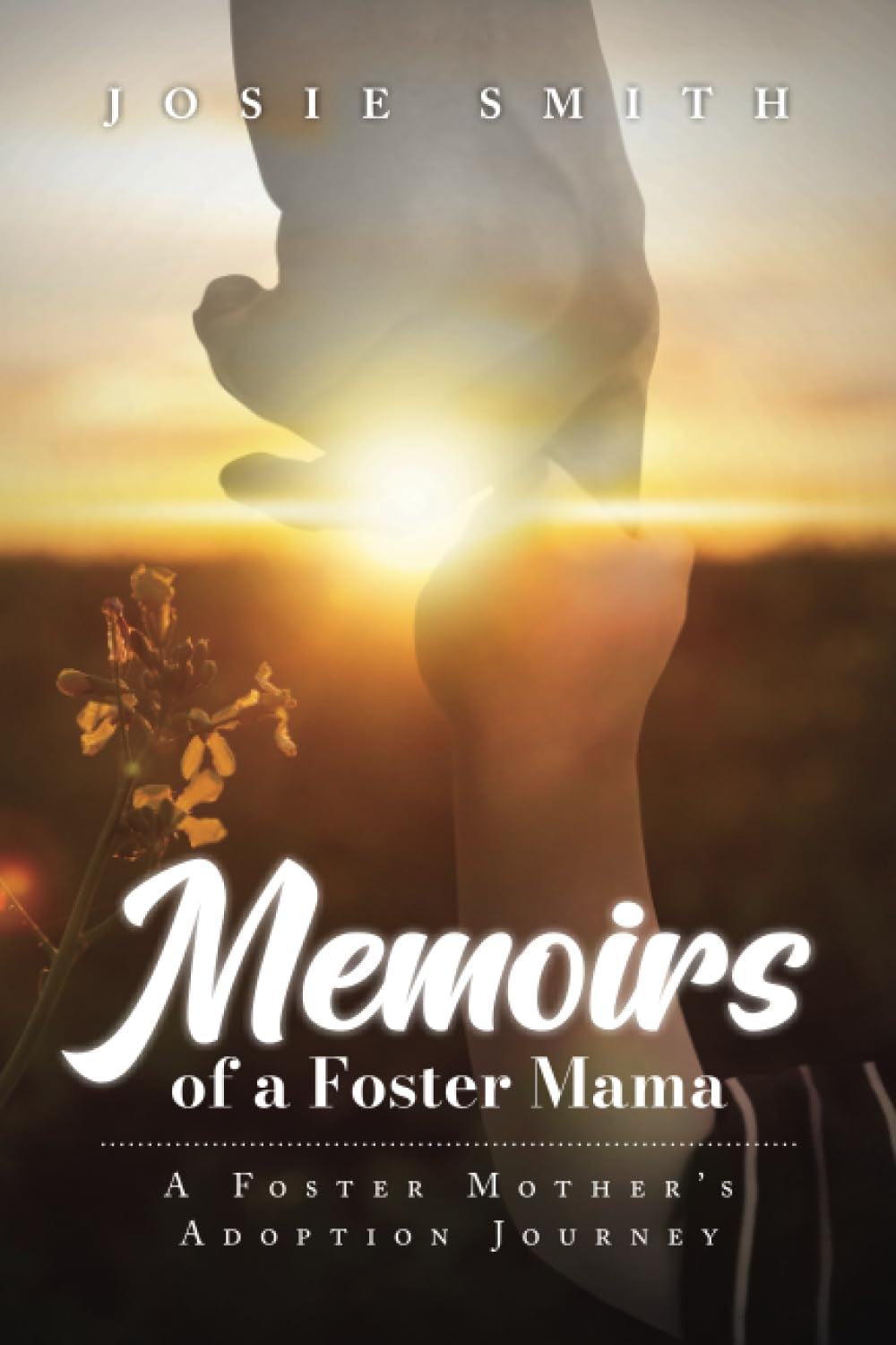 Memoirs of a Foster Mama: A Foster Mother's Adoption Journey