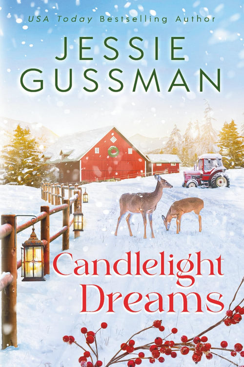 Candlelight Dreams (Mistletoe Meadows Sweet Christmas Romance book 9)