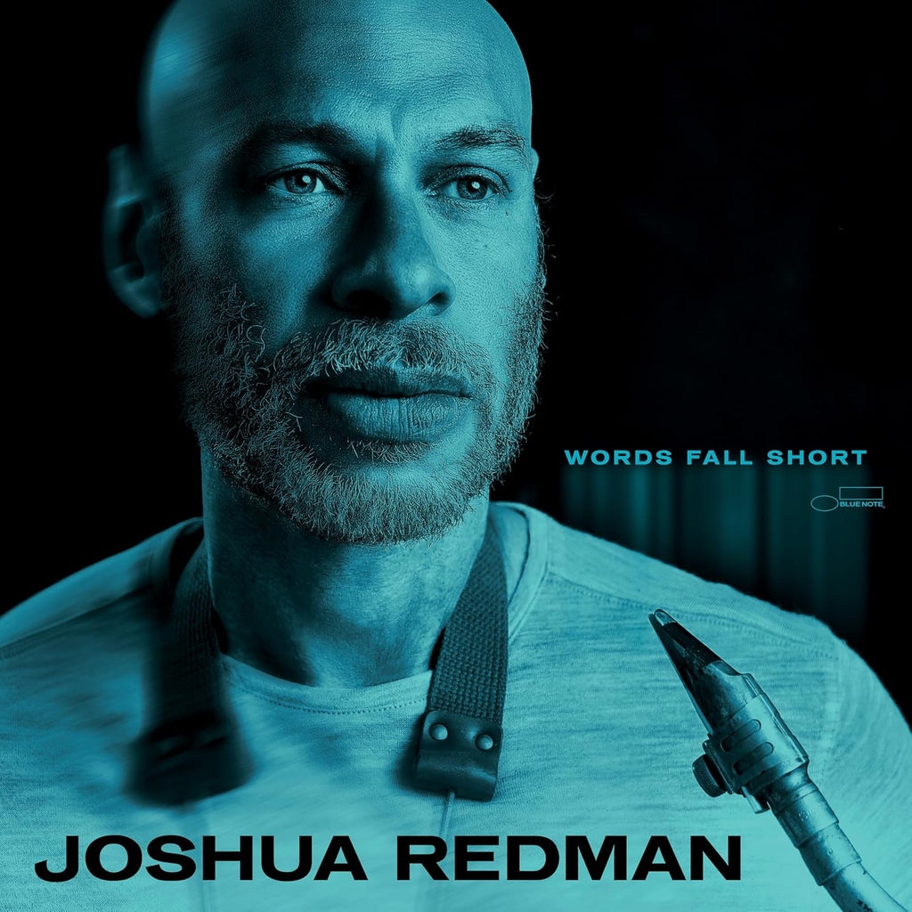 Words Fall Short [180g LP]