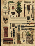 Anthropology Composition Notebook: 110 Page Blank Lined Workbook, College Ruled, US Letter 8.5" x 11"