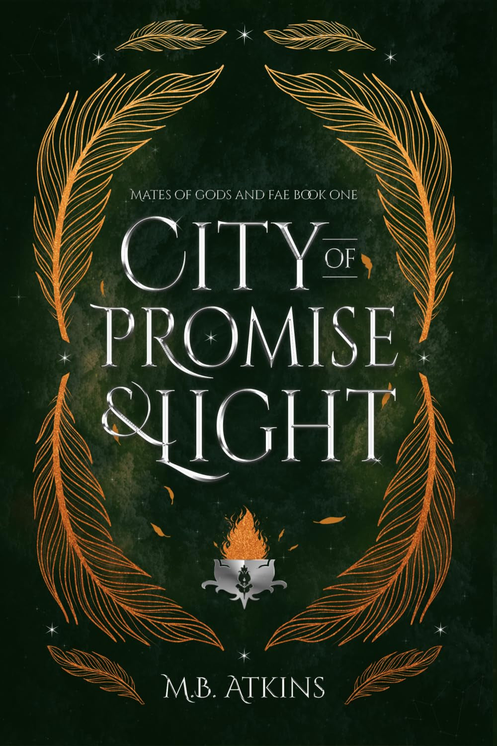 City of Promise and Light: Mates of Gods and Fae