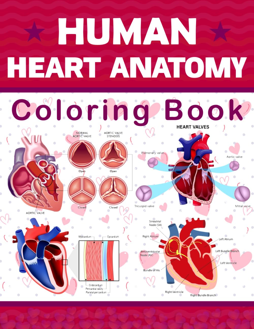 Human Heart Anatomy Coloring Book: This Will Be Very Helpful For Those Who Want to Learn About Heart Anatomy Very Well.