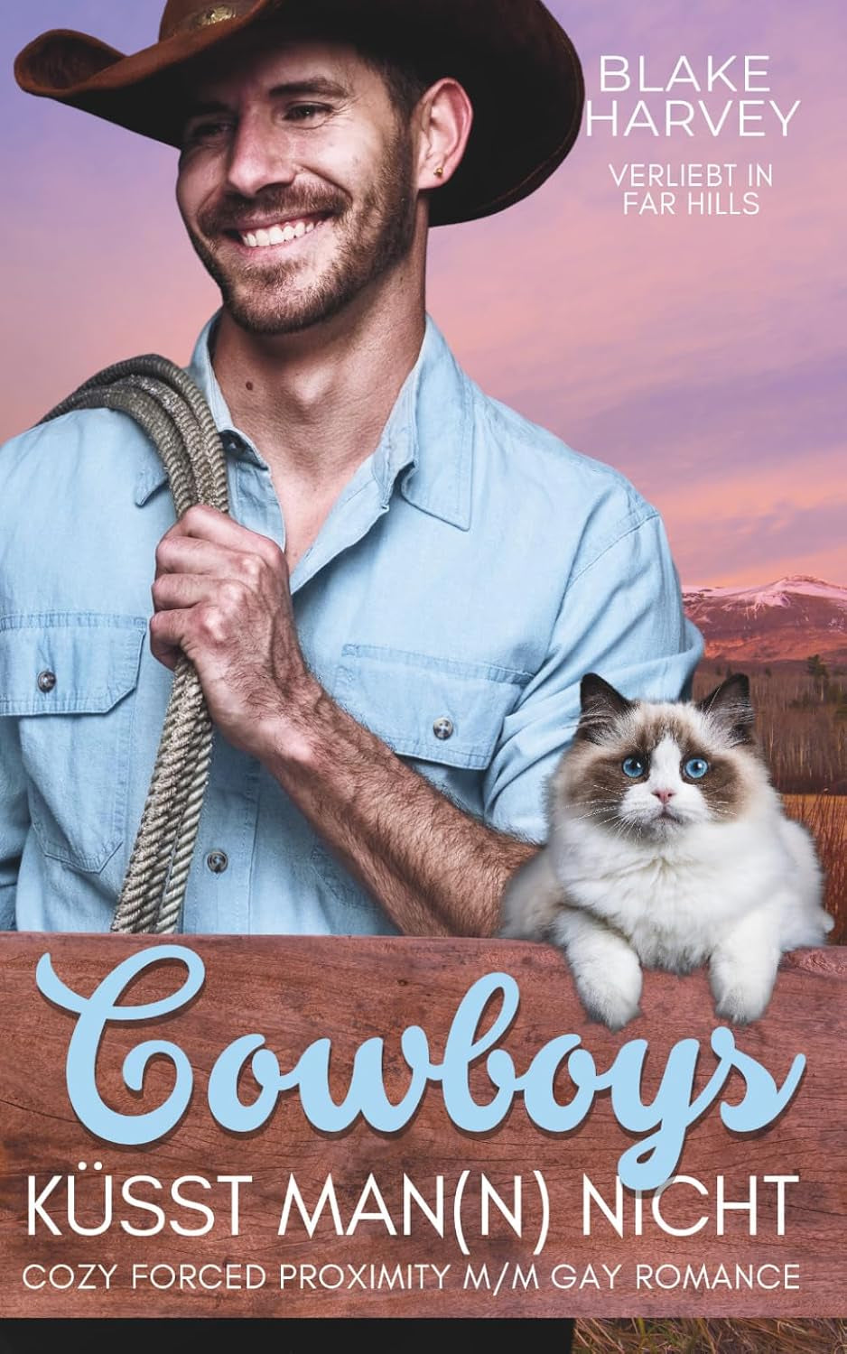 Cowboys küsst Man(n) nicht: Cozy Forced Proximity Gay Romance (Verliebt in Far Hills) (German Edition)