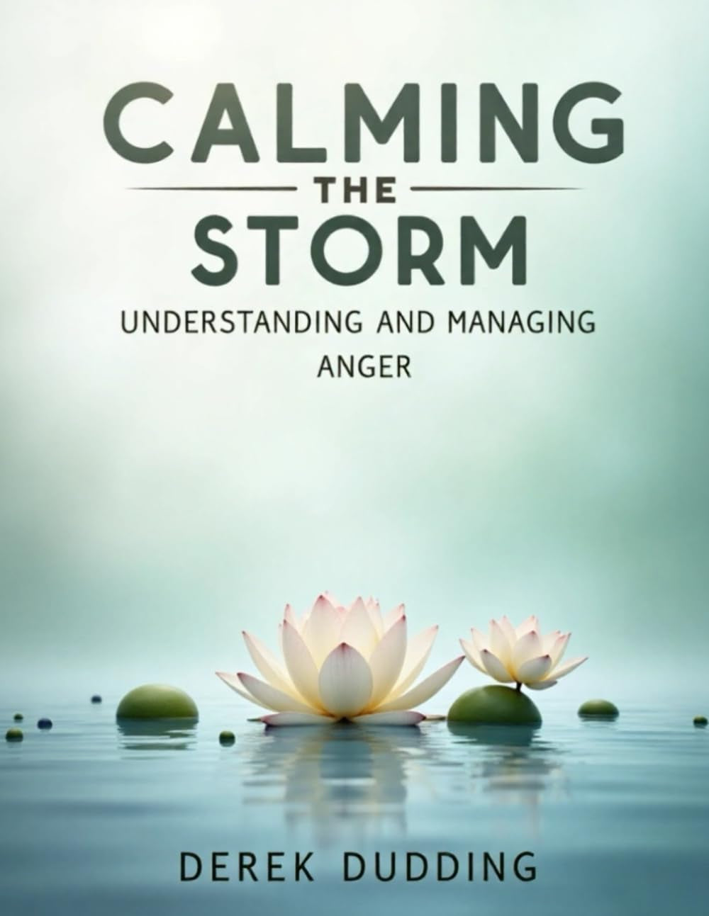 Calming the Storm: Understanding and Managing Anger