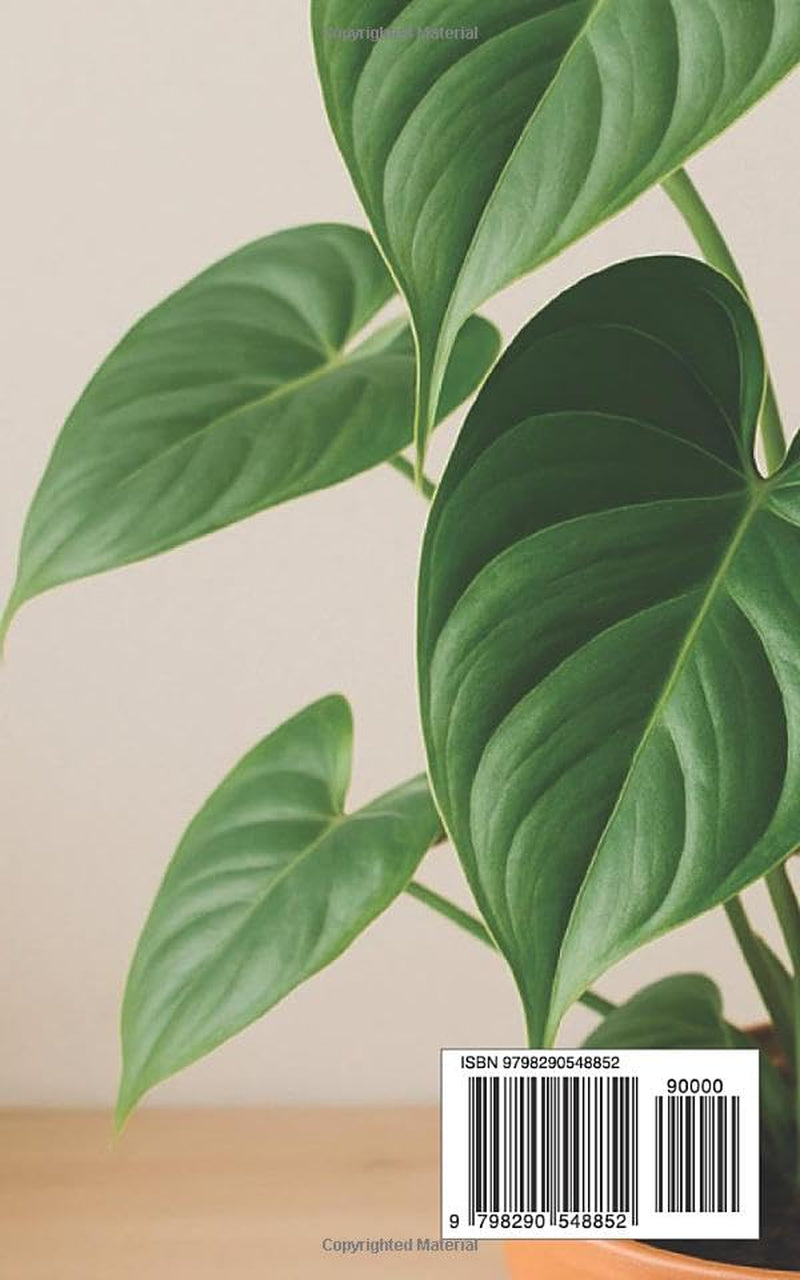 Philodendron Guide for Beginners: How to Grow and Care for Philodendrons Indoors