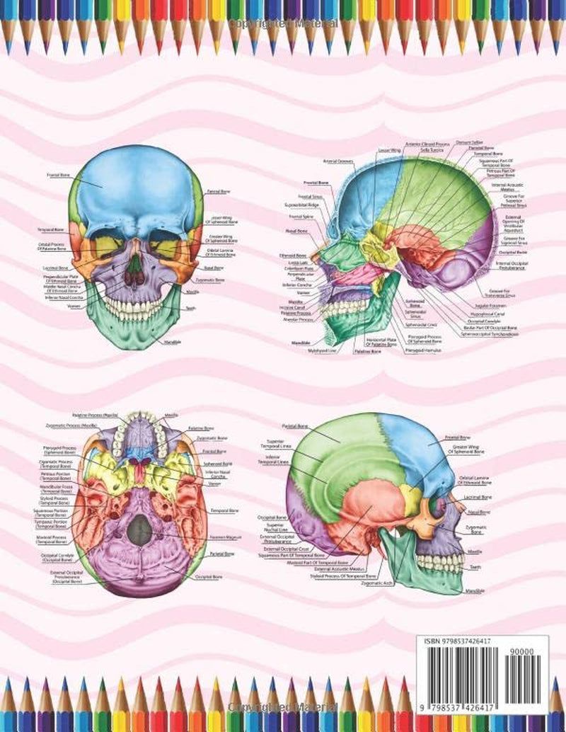 Skull Anatomy Coloring Book: Incredibly Detailed Self-Test Human Skull Anatomy Coloring Book for Anatomy Students | The Human Skull Anatomy Self Test ... Coloring Book for Kids Boys Girls Teens.