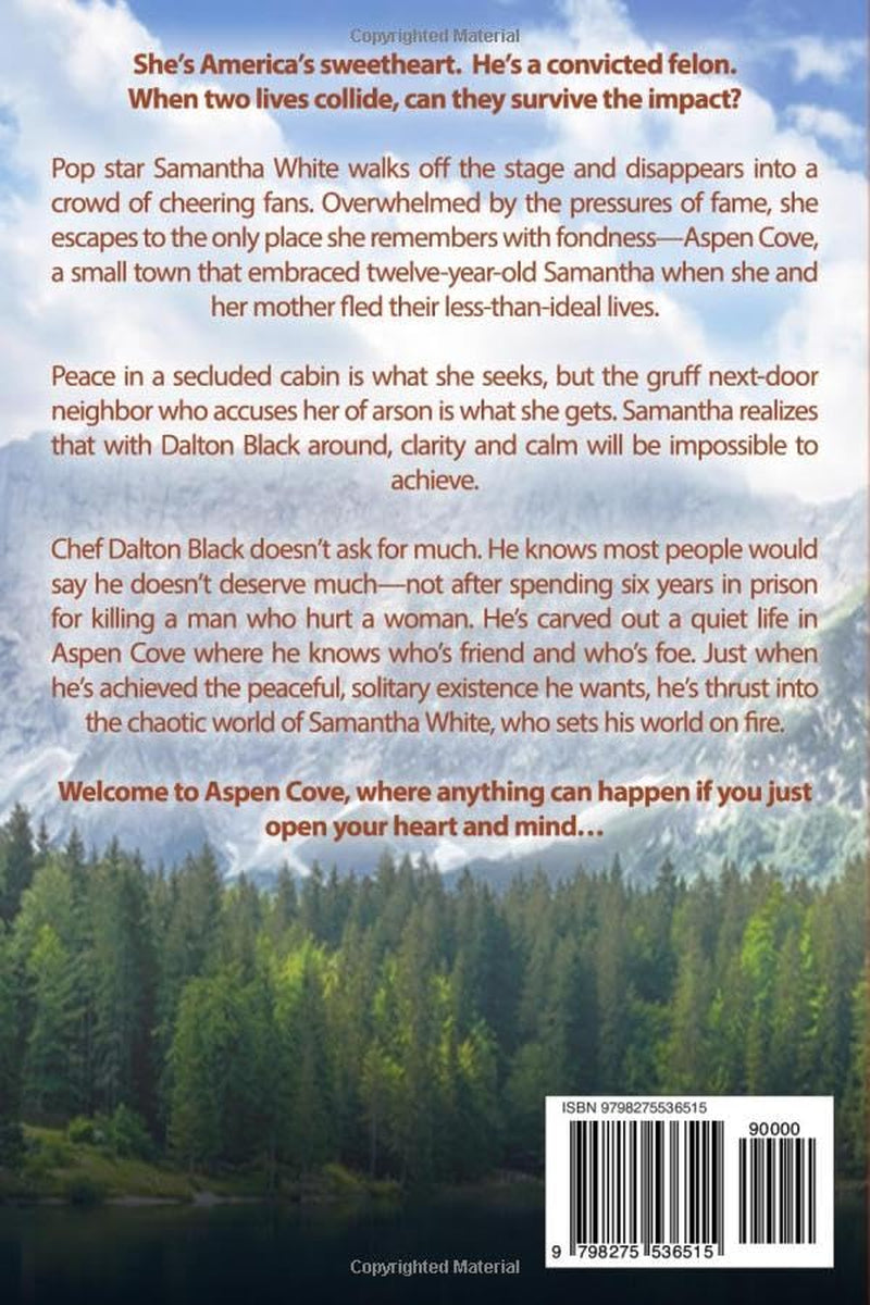 One Hundred Wishes: A Small Town Romance ((Large Print) Aspen Cove: Season One – Where Hope Begins)