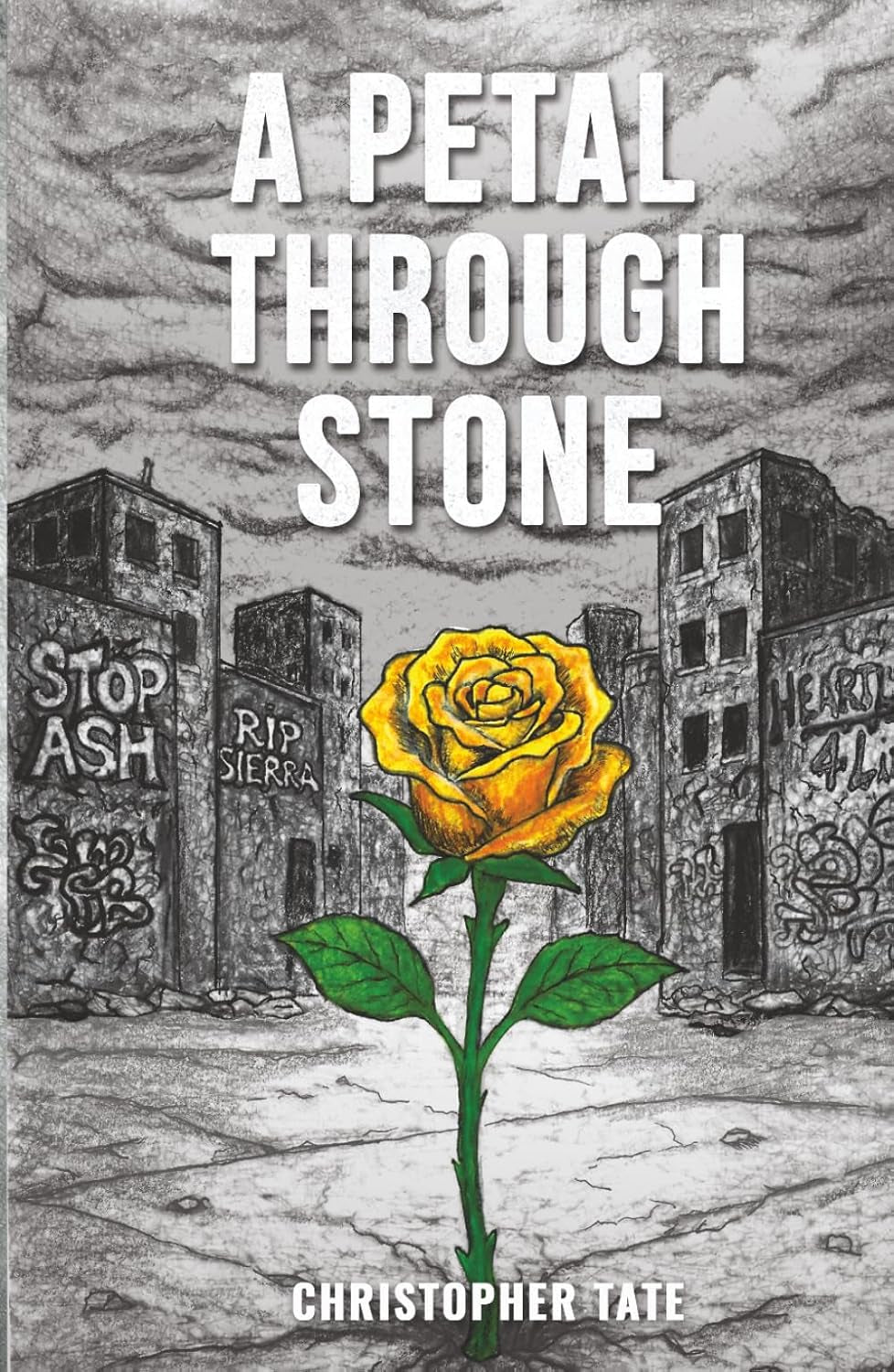 A Petal Through Stone