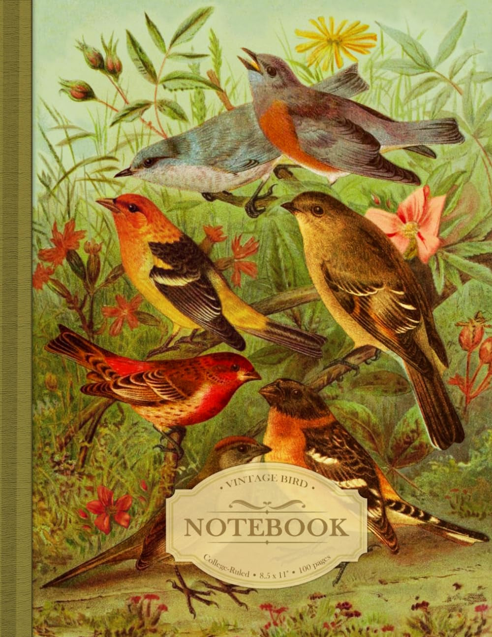 Vintage Bird Notebook | Large Lined Notebook 8.5 x 11" | Victorian Bird Print | Softcover, Ivory Paper, 100 Pages