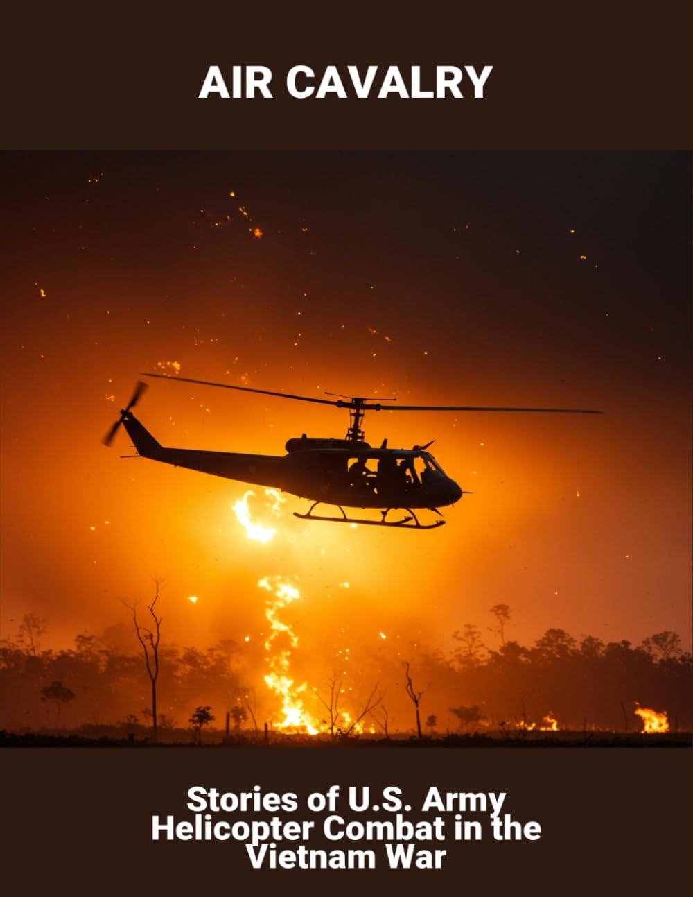 Air Cavalry: Stories Of U.S. Army Helicopter Combat In The Vietnam War