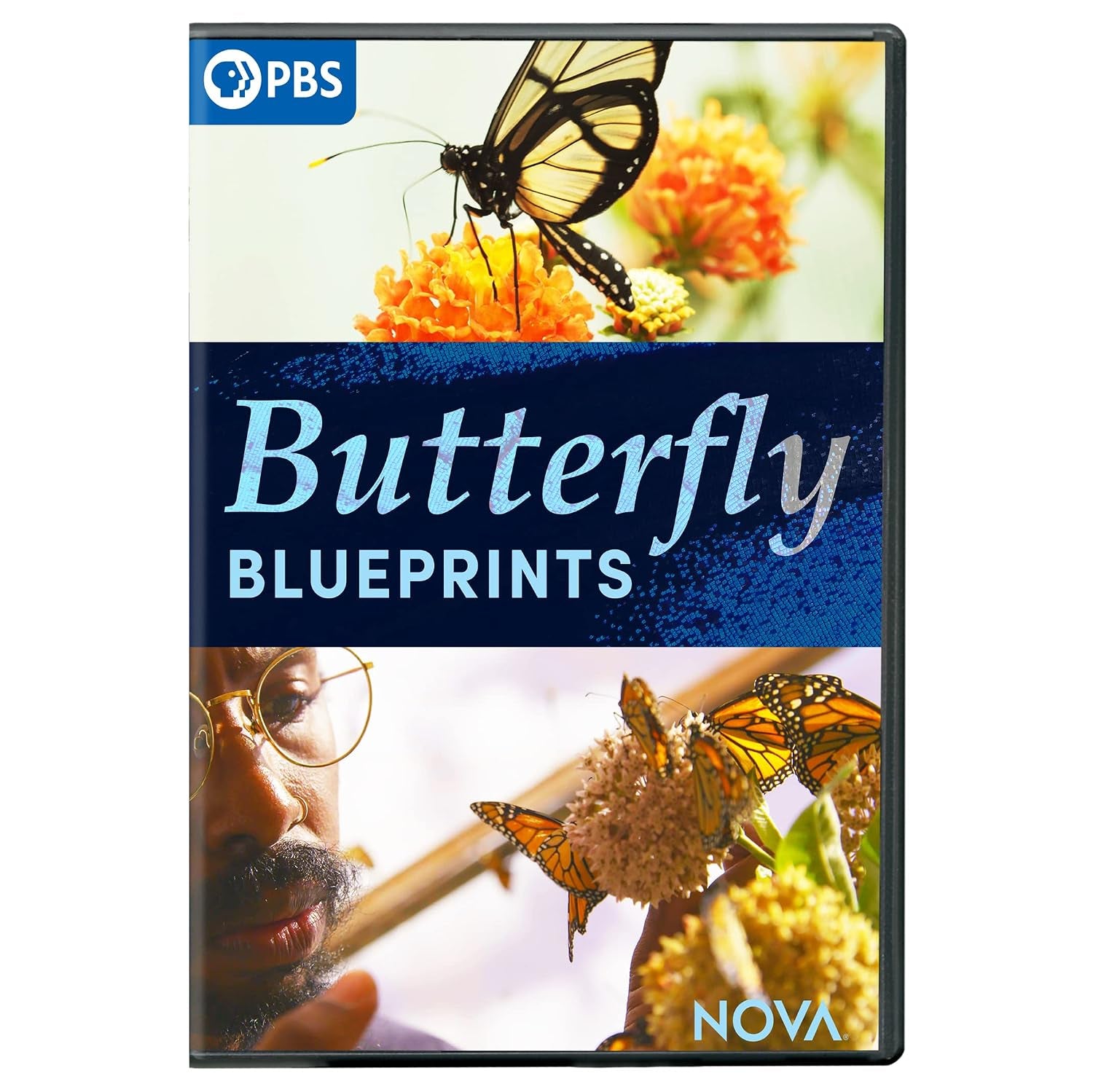 NOVA: Butterfly Blueprints
