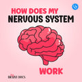 How Does My Nervous System Work: A Fun and Easy Picture Book About Neurology for Kids Ages 5–10