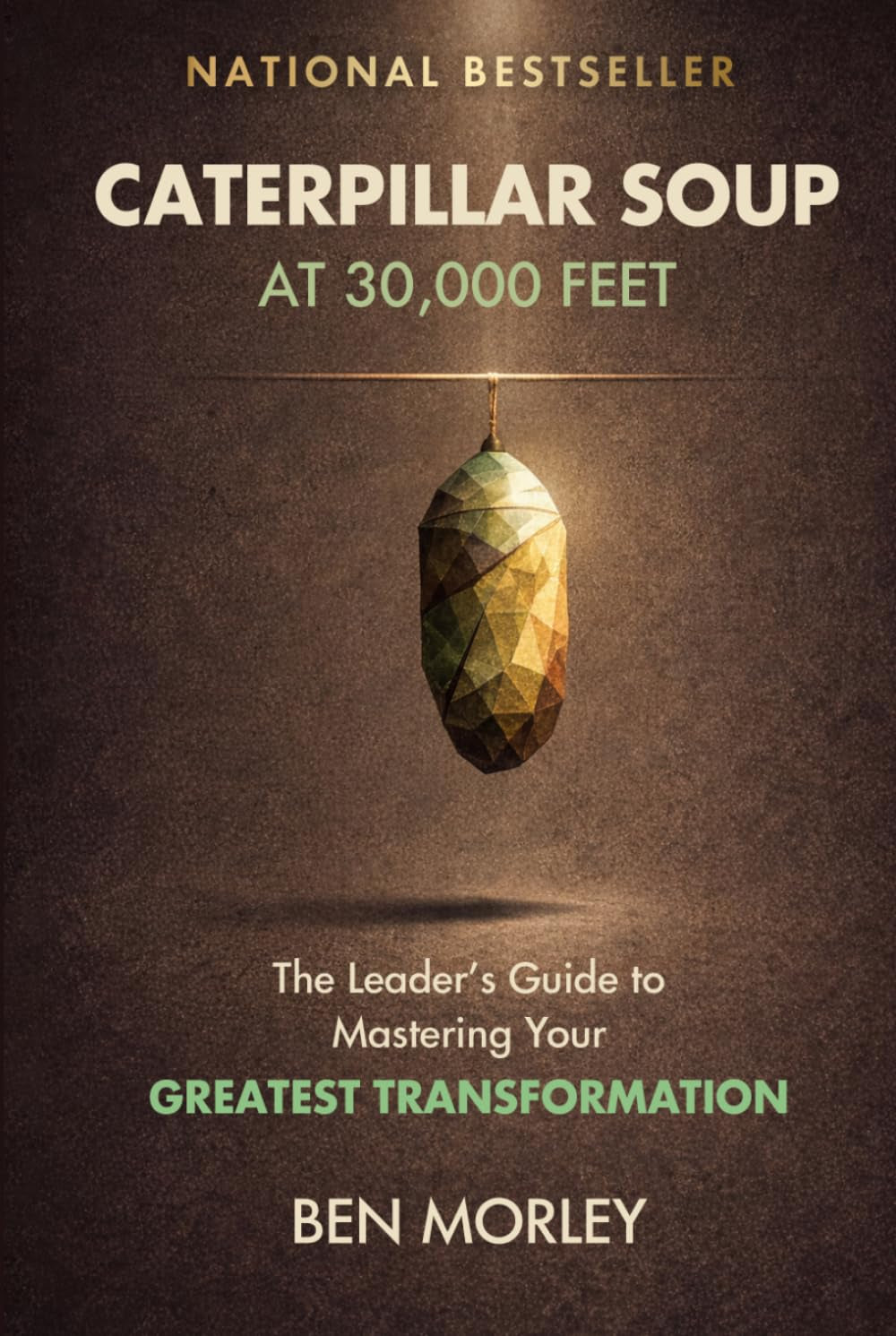 Caterpillar Soup at 30,000 Feet: The Leader’s Guide to Mastering Your Greatest Transformation