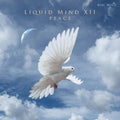 LIQUID MIND 12: PEACE