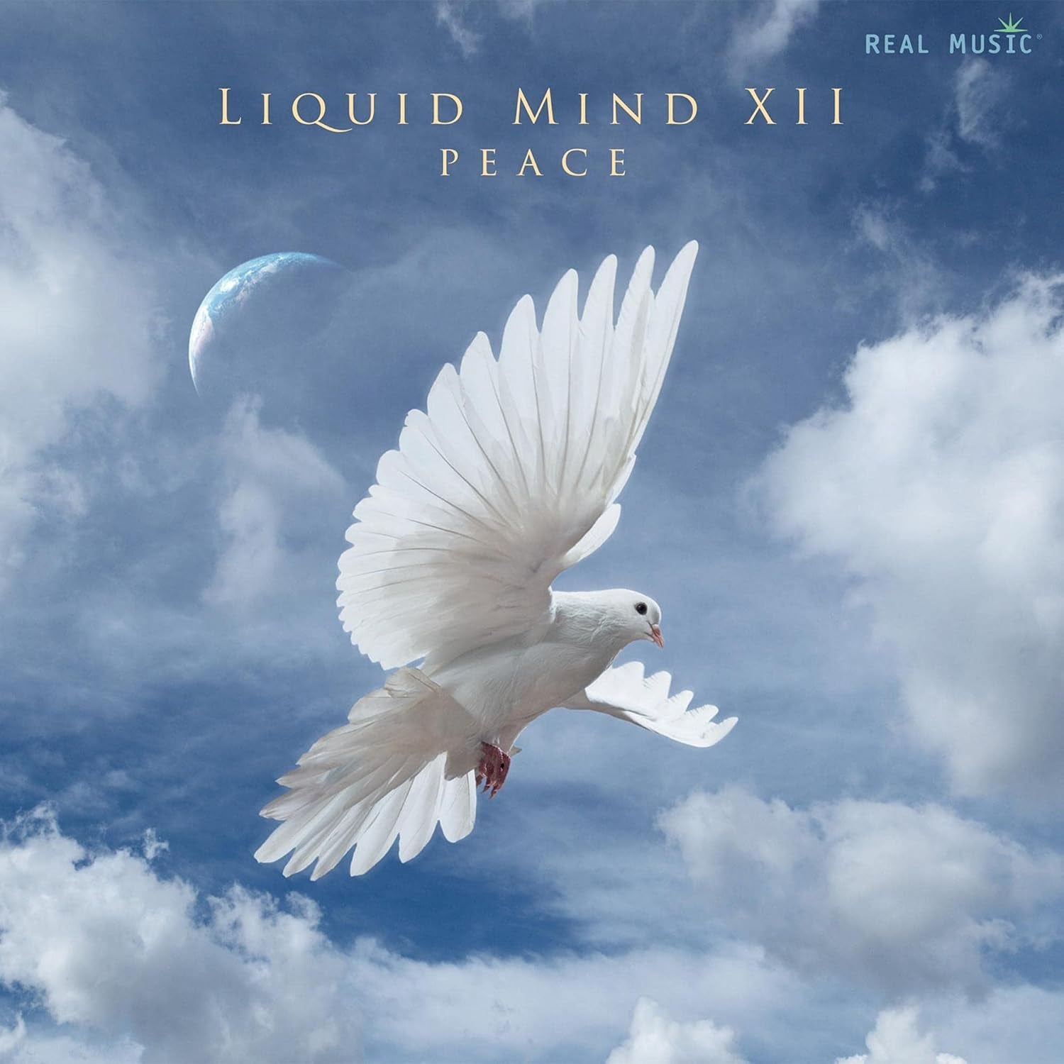 LIQUID MIND 12: PEACE
