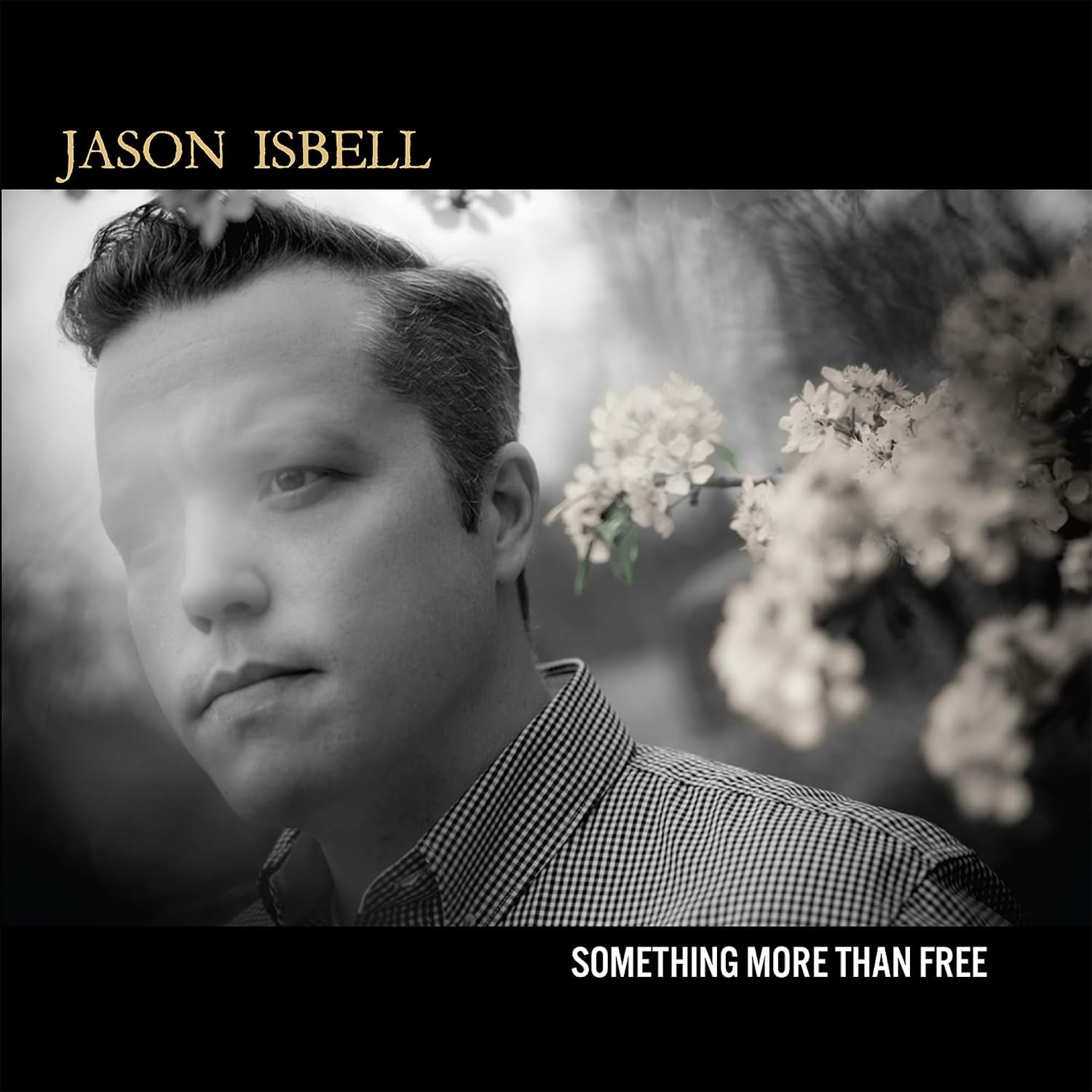 Something More Than Free 10 Year Anniversary Edition