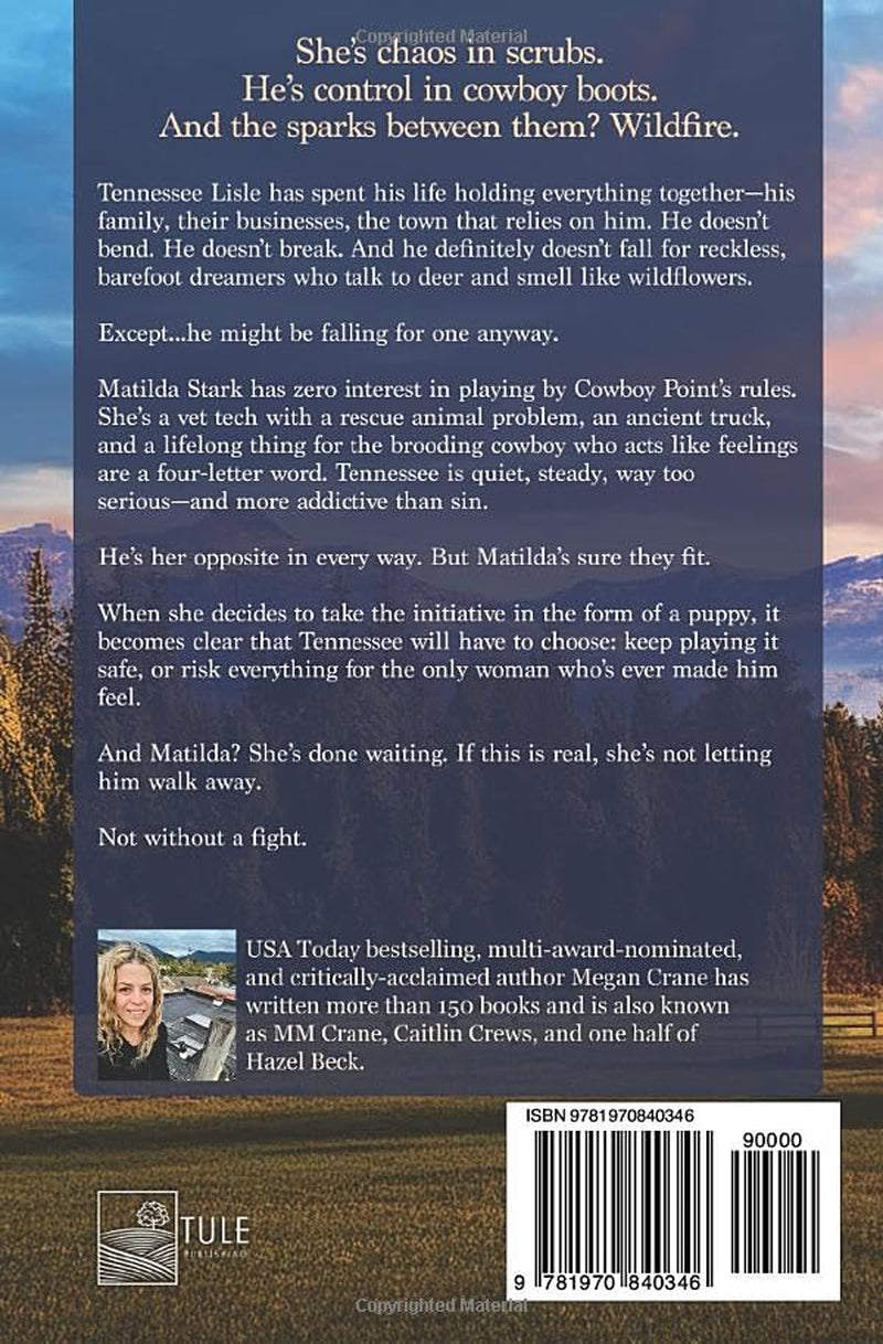 The Cowboy's Least Likely Bride (Family Matters of Cowboy Point)