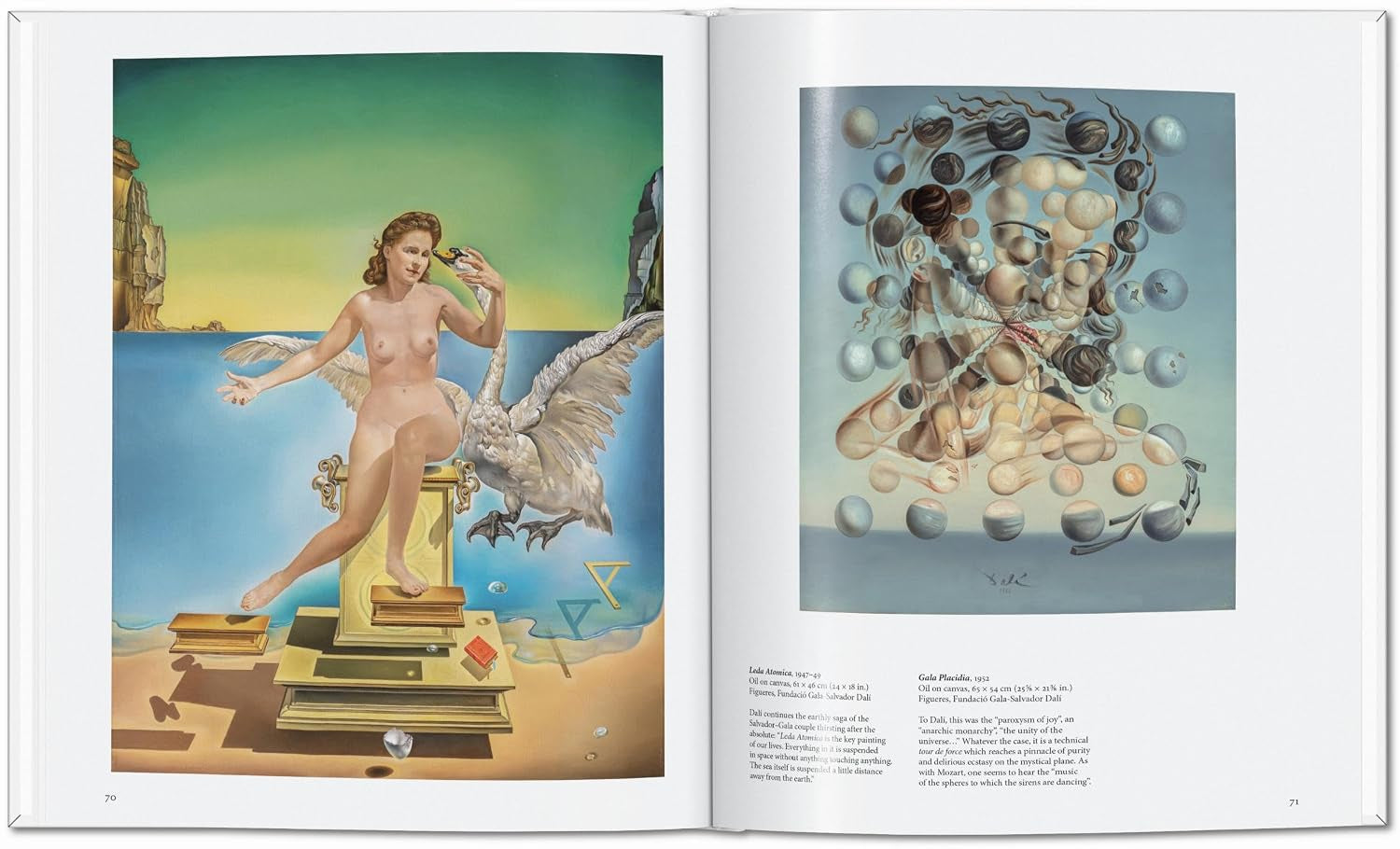 Dalí (Basic Art)