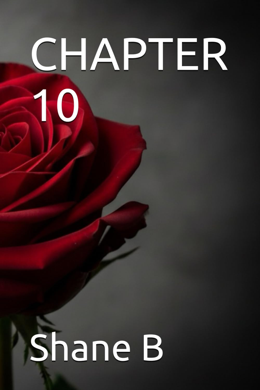 CHAPTER 10