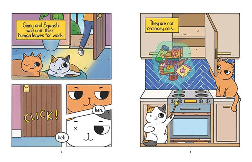 Cat & Cat Adventures: The Quest for Snacks: A Graphic Novel
